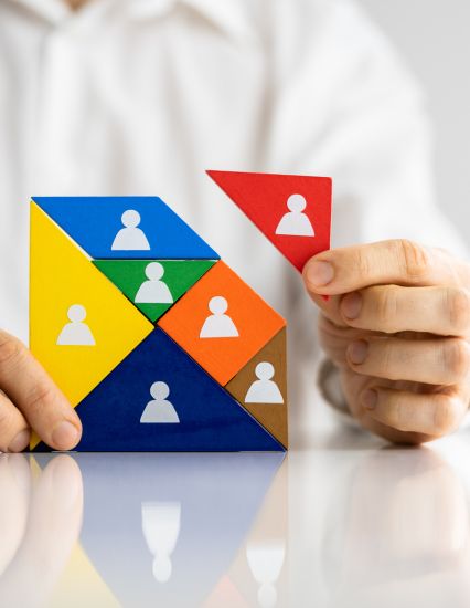 serviconsulting - interim management